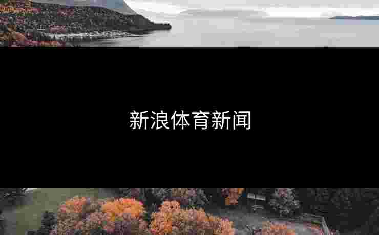 新浪体育新闻 新浪体育新闻